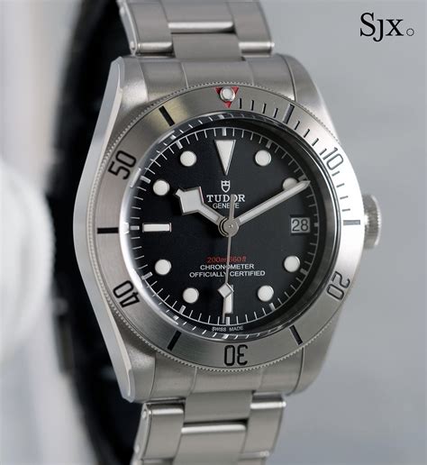 tudor 79730 discontinued|tudor black bay bezel.